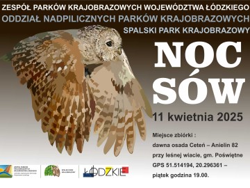 Zapraszamy na Noc sów w Oddziale Nadpilicznych Parków Krajobrazowych, 